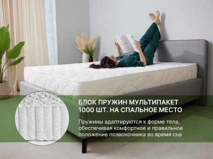 Матрас Димакс Элемент Мемо 60х120